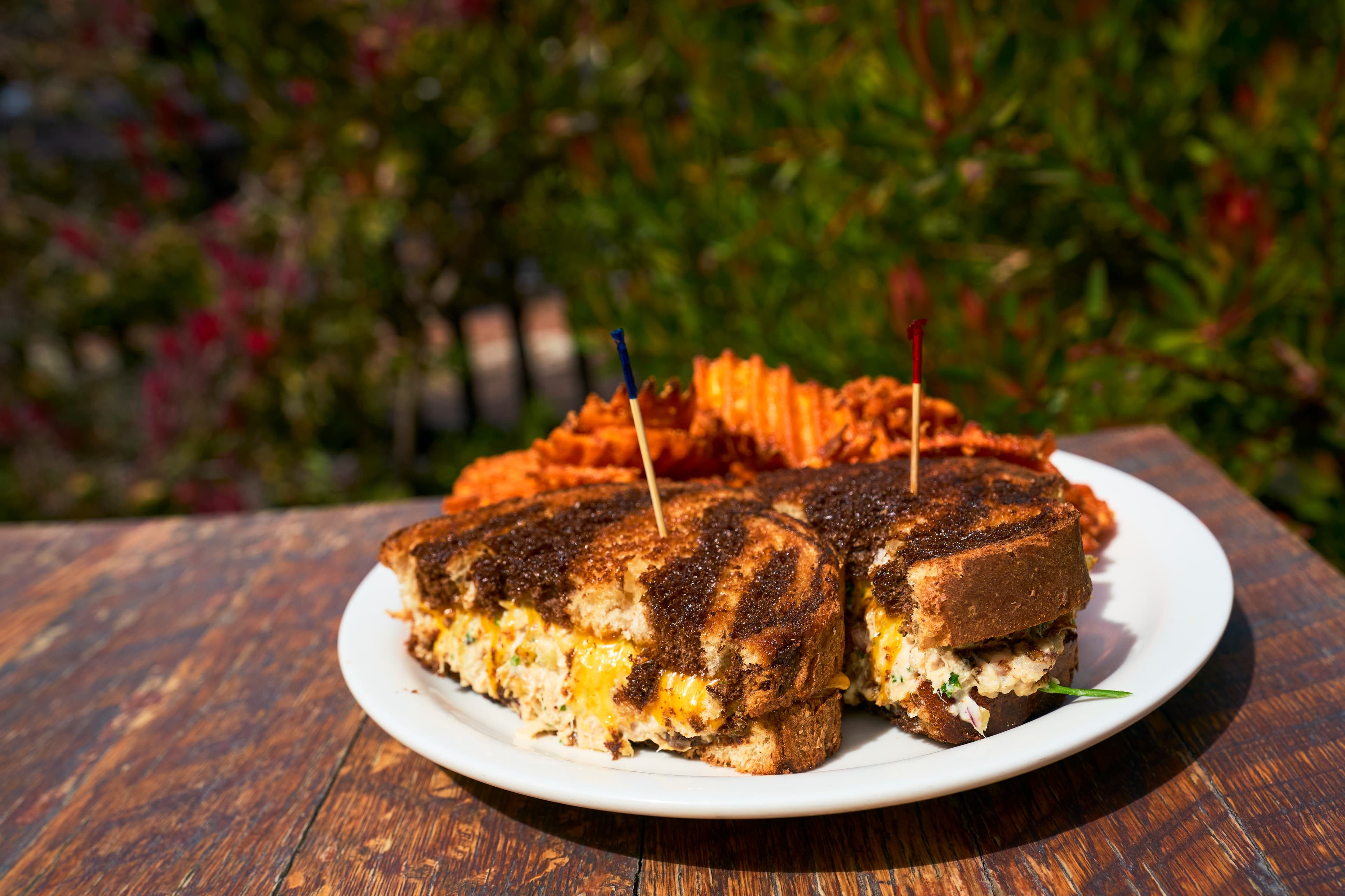 Tuna Salad Melt
